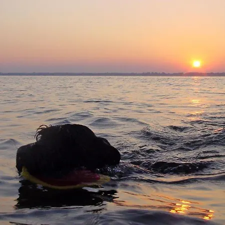 Wassergeist Mit Schwimmbad *